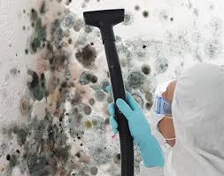 Best Residential Mold Inspection & Testing  in Fort Valley, AZ